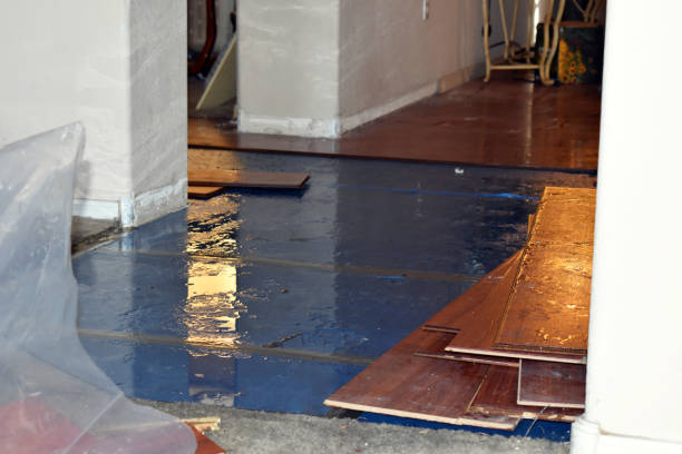 Professional Basement Water Removal technician working in North Fork, CA
